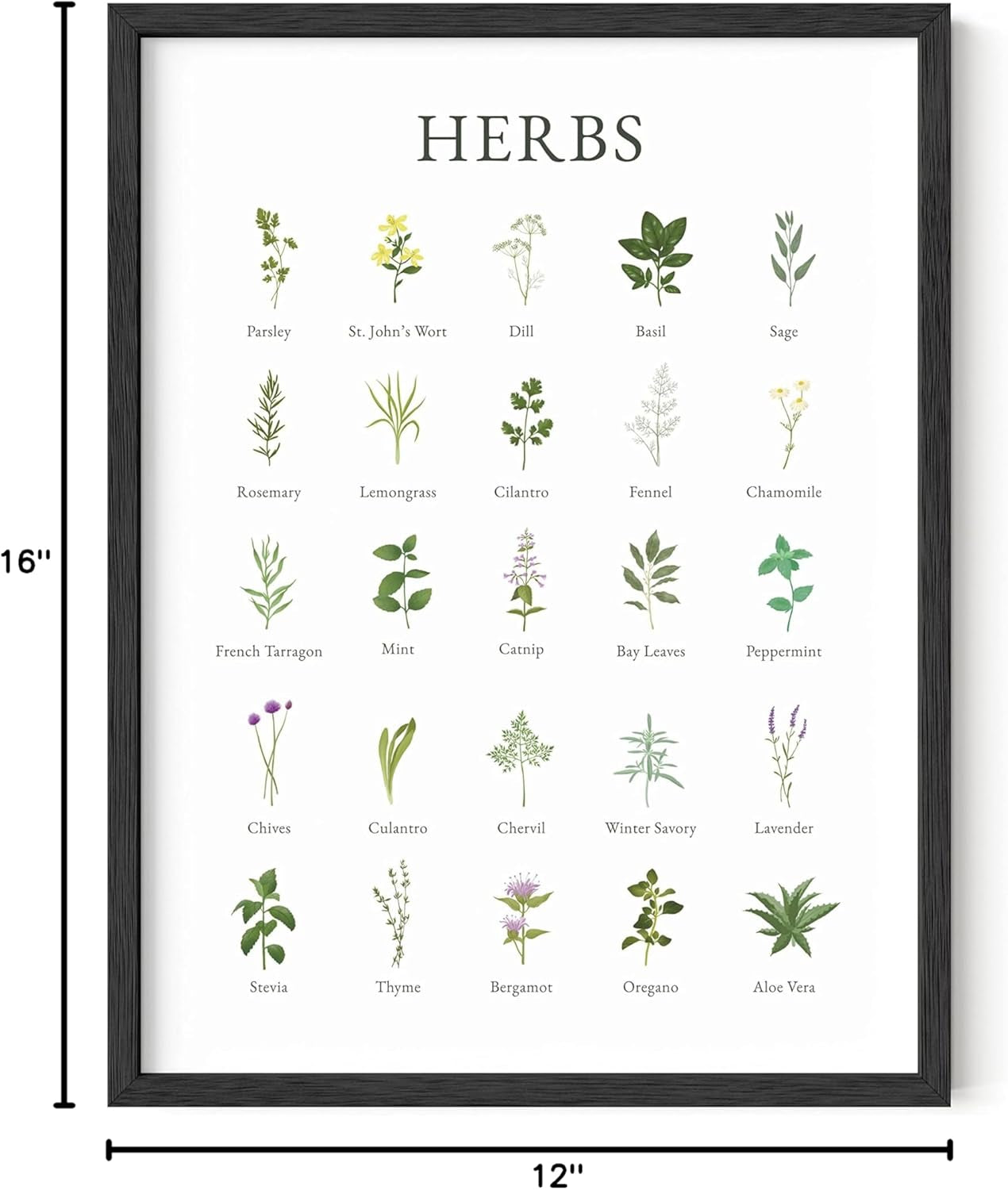 Herb Art Kitchen Décor – Add Life to Your Space 