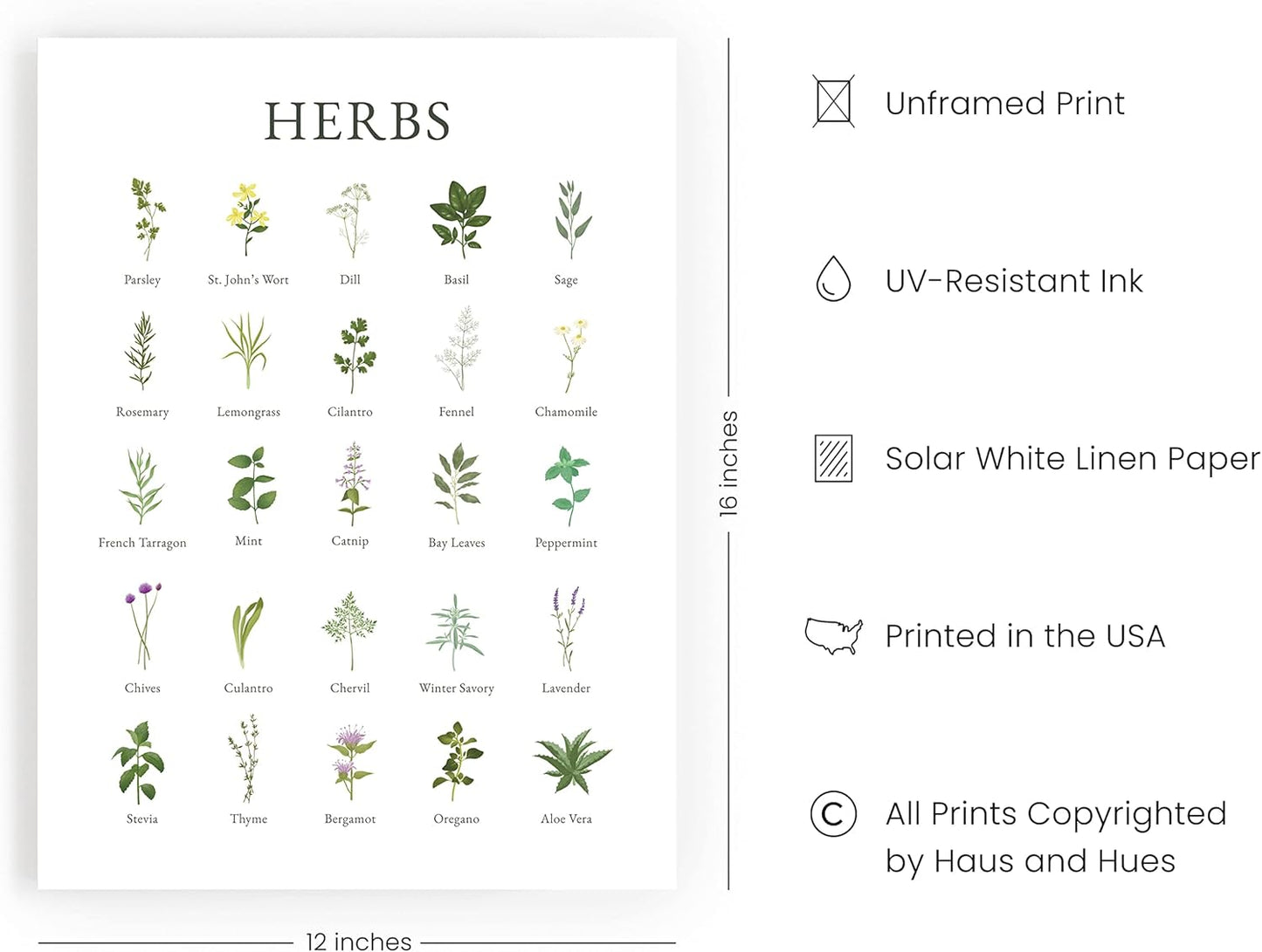 Herb Art Kitchen Décor – Add Life to Your Space 