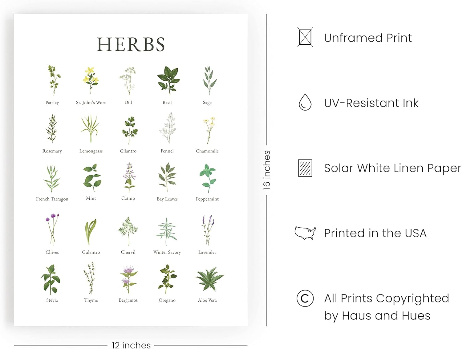 Herb Art Kitchen Décor – Add Life to Your Space 