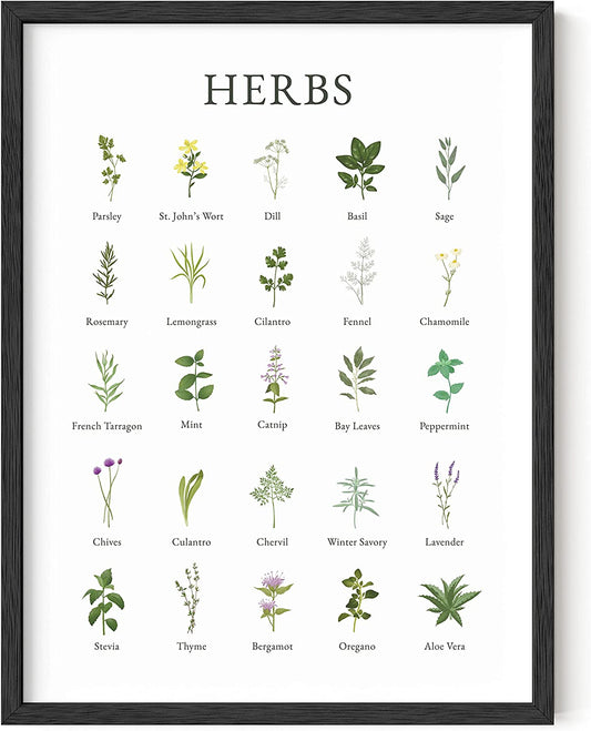 Herb Art Kitchen Décor – Add Life to Your Space 